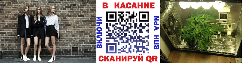 А ПВП Людиново