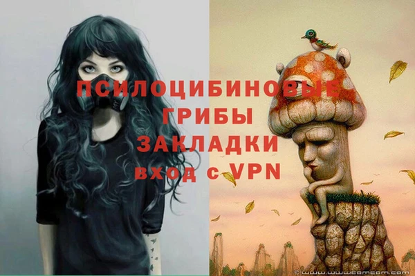 прущие грибы Кукмор