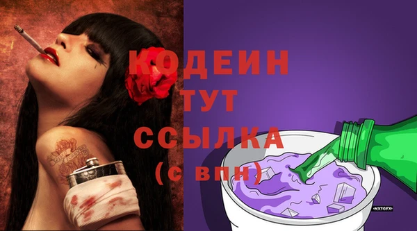 прущие грибы Кукмор