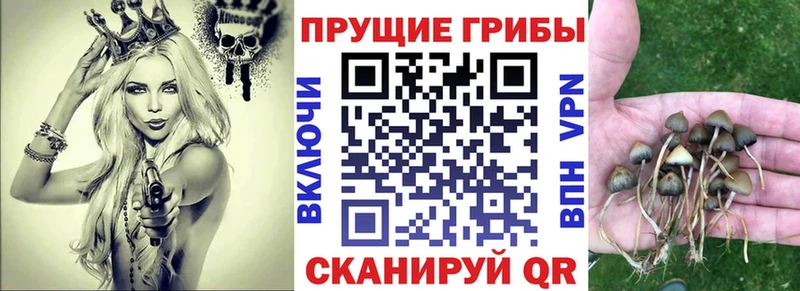 Галлюциногенные грибы ЛСД  купить наркоту  Людиново 